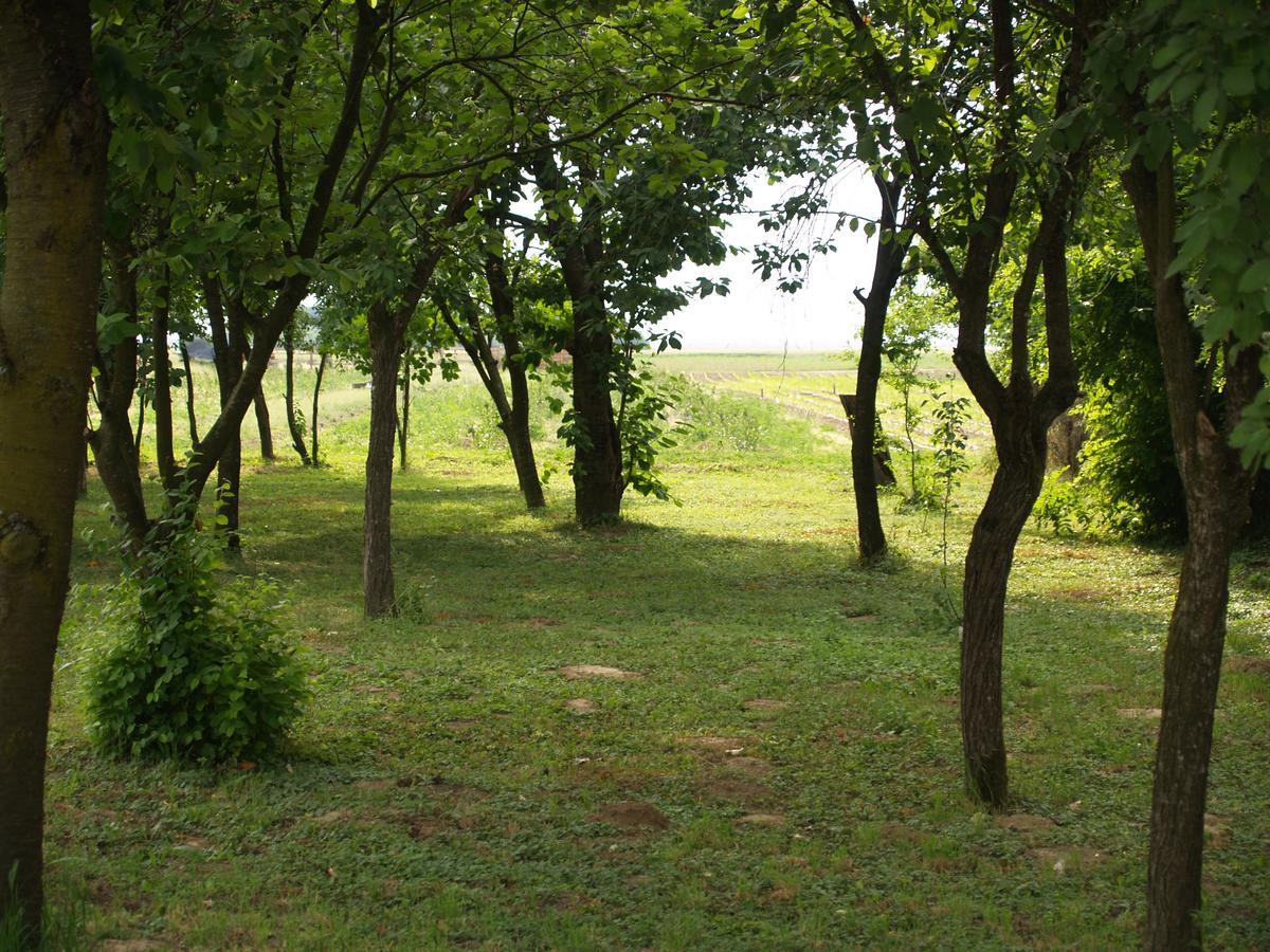 Hotel Pannonia Terranova Vardarac Exterior foto